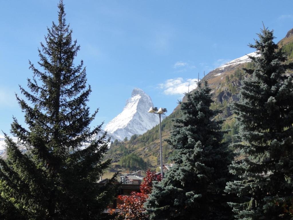 Hotel Cima Zermatt Dış mekan fotoğraf